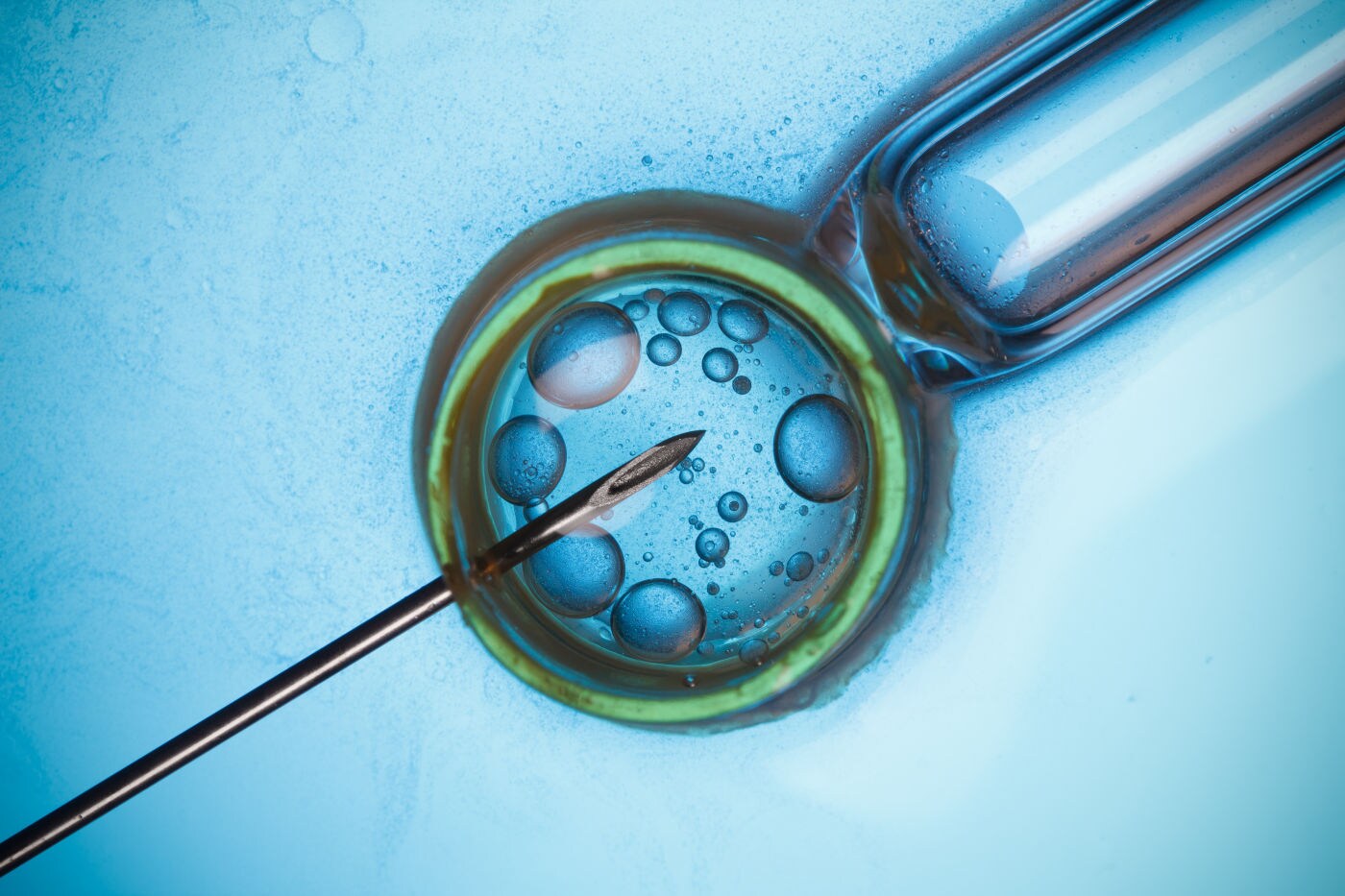 Bioethics